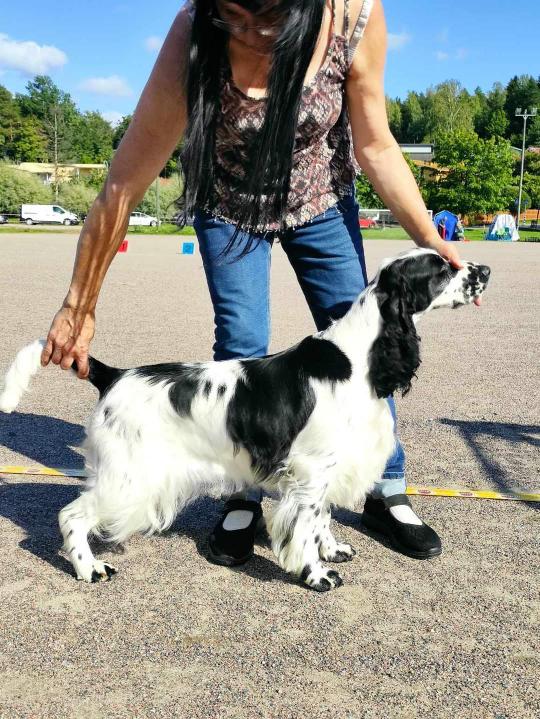 Arrant Elegance Elena 